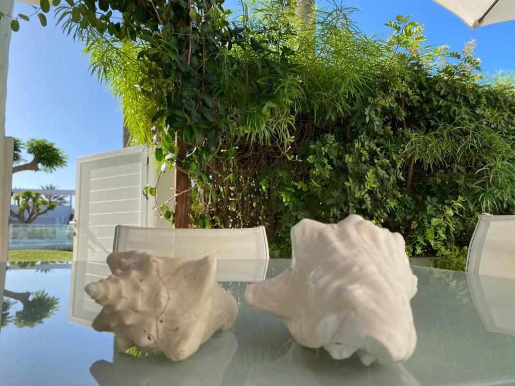 Relax Pasito Blanco Apartment Ngoại thất bức ảnh